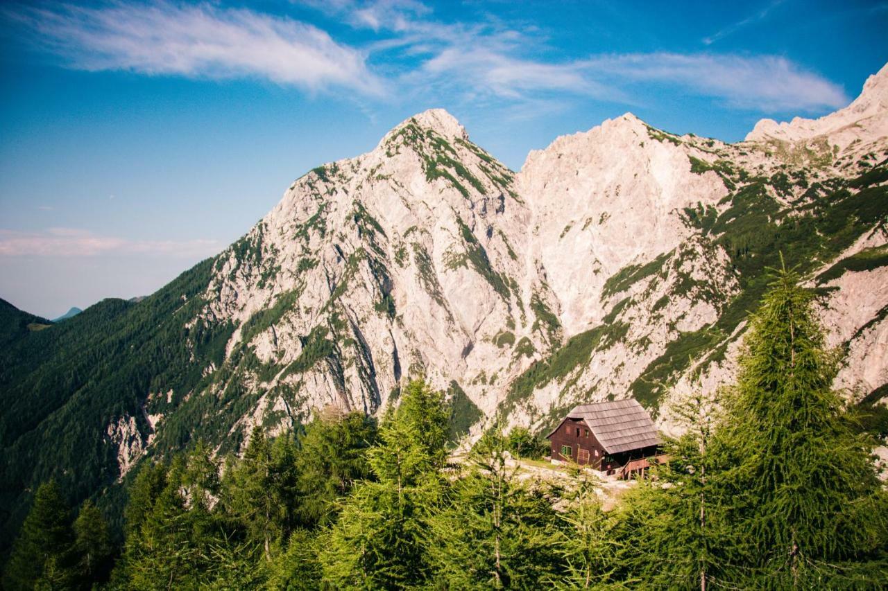 Homestay Kocka Zgornje Jezersko Exterior foto